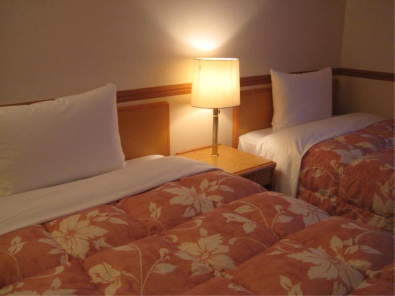 Toyoko Inn Niigata Ekimae Zewnętrze zdjęcie
